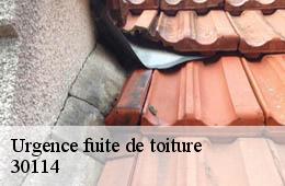 Urgence fuite de toiture  boissieres-30114 Artisan Espinos