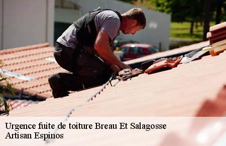 Urgence fuite de toiture  breau-et-salagosse-30120 Artisan Espinos