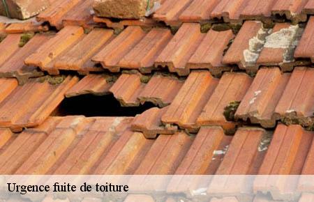 Urgence fuite de toiture  brignon-30190 Couvreurs gardois