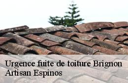 Urgence fuite de toiture  brignon-30190 Couvreurs gardois