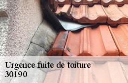 Urgence fuite de toiture  brignon-30190 Couvreurs gardois