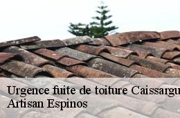 Urgence fuite de toiture  caissargues-30132 Artisan Espinos