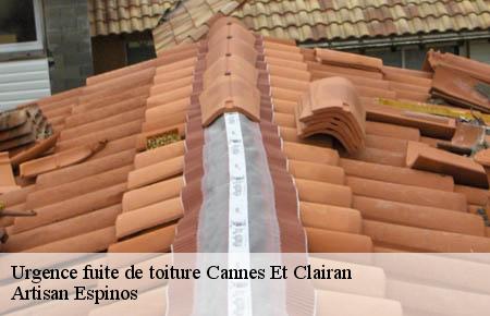 Urgence fuite de toiture  cannes-et-clairan-30260 Artisan Espinos