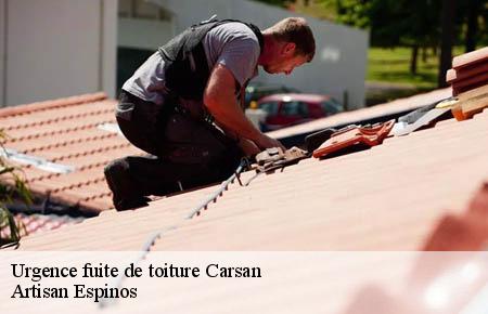 Urgence fuite de toiture  carsan-30130 Artisan Espinos