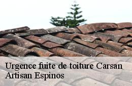 Urgence fuite de toiture  carsan-30130 Artisan Espinos