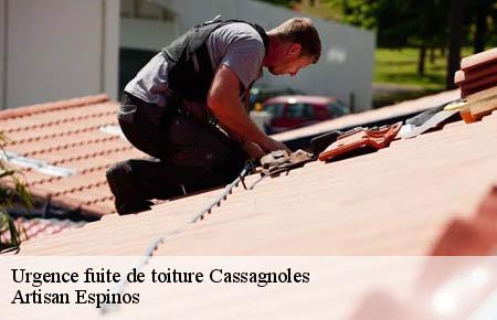 Urgence fuite de toiture  cassagnoles-30350 Artisan Espinos