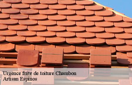 Urgence fuite de toiture  chambon-30450 Artisan Espinos
