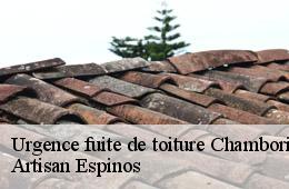 Urgence fuite de toiture  chamborigaud-30530 Artisan Espinos