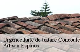 Urgence fuite de toiture  concoules-30450 Artisan Espinos