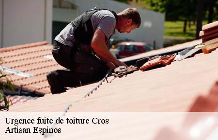 Urgence fuite de toiture  cros-30170 Artisan Espinos