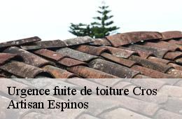 Urgence fuite de toiture  cros-30170 Artisan Espinos