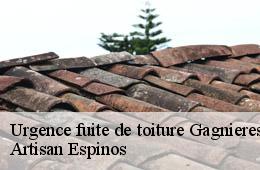 Urgence fuite de toiture  gagnieres-30160 Artisan Espinos