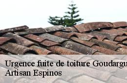 Urgence fuite de toiture  goudargues-30630 Artisan Espinos