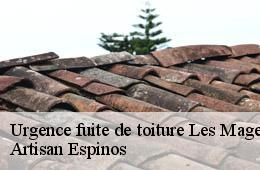 Urgence fuite de toiture  les-mages-30960 Artisan Espinos