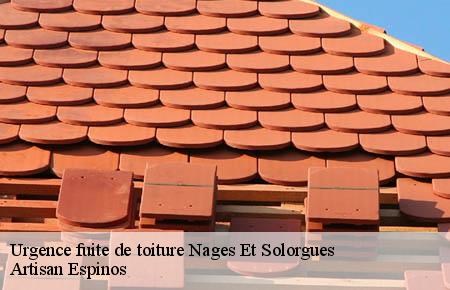 Urgence fuite de toiture  nages-et-solorgues-30114 Artisan Espinos