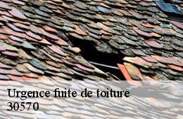 Urgence fuite de toiture  notre-dame-de-la-rouviere-30570 Artisan Espinos