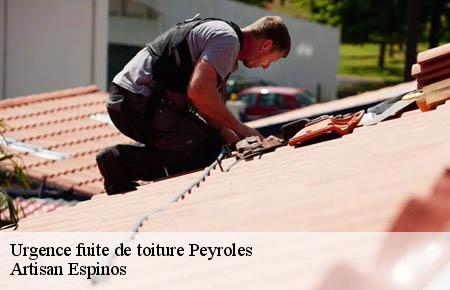 Urgence fuite de toiture  peyroles-30124 Artisan Espinos
