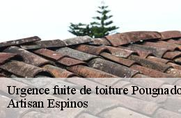 Urgence fuite de toiture  pougnadoresse-30330 Artisan Espinos
