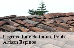 Urgence fuite de toiture  poulx-30320 Artisan Espinos