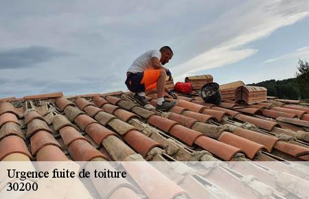 Urgence fuite de toiture  la-roque-sur-ceze-30200 Artisan Espinos