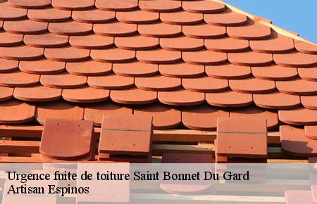 Urgence fuite de toiture  saint-bonnet-du-gard-30210 Artisan Espinos