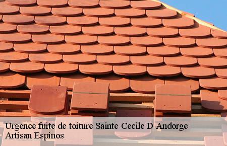Urgence fuite de toiture  sainte-cecile-d-andorge-30110 Artisan Espinos