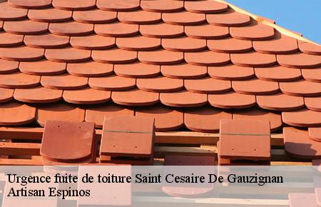 Urgence fuite de toiture  saint-cesaire-de-gauzignan-30360 Artisan Espinos