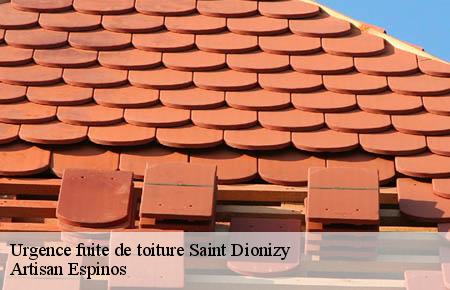 Urgence fuite de toiture  saint-dionizy-30980 Artisan Espinos
