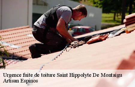 Urgence fuite de toiture  saint-hippolyte-de-montaigu-30700 Artisan Espinos