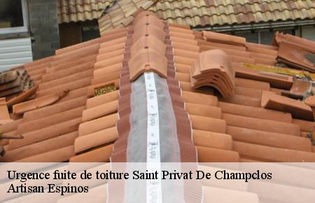 Urgence fuite de toiture  saint-privat-de-champclos-30430 Artisan Espinos