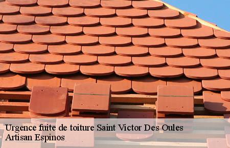 Urgence fuite de toiture  saint-victor-des-oules-30700 Artisan Espinos