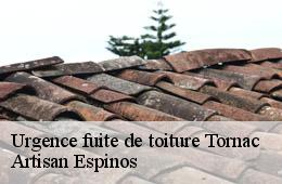 Urgence fuite de toiture  tornac-30140 Artisan Espinos