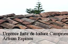 Urgence fuite de toiture  camprieu-30750 Artisan Espinos