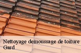 Nettoyage demoussage de toiture 30 Gard  FJ Rénovation Couverture