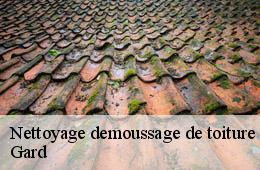 Nettoyage demoussage de toiture 30 Gard  Artisan Espinos