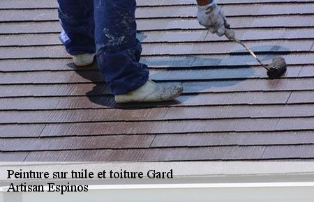 Peinture sur tuile et toiture 30 Gard  Couvreurs gardois