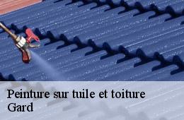 Peinture sur tuile et toiture 30 Gard  Couvreurs gardois