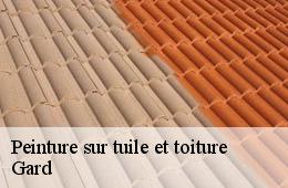 Peinture sur tuile et toiture 30 Gard  Couvreurs gardois