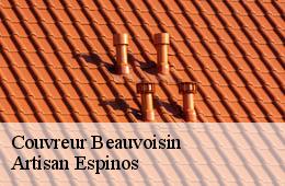 Couvreur  beauvoisin-30640 Artisan Espinos