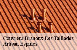 Couvreur  branoux-les-taillades-30110 Artisan Espinos