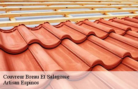 Couvreur breau-et-salagosse-30120 Artisan Espinos