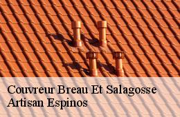 Couvreur  breau-et-salagosse-30120 Artisan Espinos