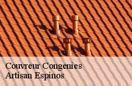 Couvreur  congenies-30111 Artisan Espinos