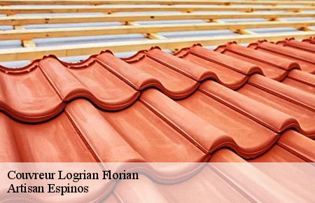 Couvreur  logrian-florian-30610 Artisan Espinos