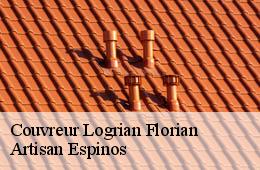 Couvreur  logrian-florian-30610 Artisan Espinos