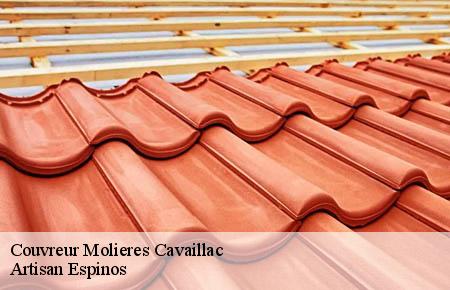 Couvreur  molieres-cavaillac-30120 Artisan Espinos