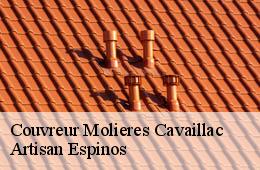 Couvreur  molieres-cavaillac-30120 Artisan Espinos