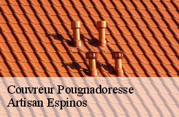 Couvreur  pougnadoresse-30330 Artisan Espinos