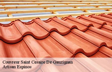 Couvreur  saint-cesaire-de-gauzignan-30360 Artisan Espinos