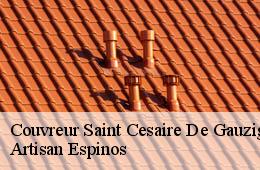 Couvreur  saint-cesaire-de-gauzignan-30360 Artisan Espinos